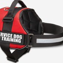 Official Service Dog in Training Vest Harness Bundle Kit. Includes Set of Service Dog , S