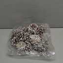 Whaline 25Pcs Christmas Natural Pine Cones Bulk Rustic Snow Pinecones with String Pine Cone Pendant Winter Holiday Hanging Ornament for Xmas Tree Gift Tag Party Decoration, 1.6-2 Inch