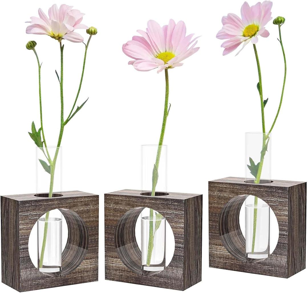 Plant Propagation Station, Glass Test Tubes with Wooden Stand for Plants, Propagation Tubes for Birthday, Housewarming, 3 Pack Plant Terrarium Vase