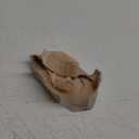 Wig Cap Lace Wig Grip Cap for Keeping Wigs in Place Wig Cap with Grip Band Make Your Wigs Glue Free Non-Slip Wig Caps for Women (Nude, S)