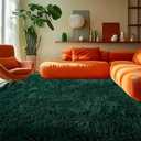Soft Area Rugs for Living Room, 3'x5' Plush Fluffy Bedroom Rug, Non-Slip Shaggy Rugs for Dorm Teens Room Decor, Modern Indoor Furry Carpets for Playroom Study Office, Green