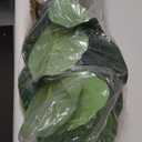 Artificial Fiddle Leaf Fig Tree6FT Tall Faux Ficus Lyrata Plant Fake Fig Trees Realistic Green Silk Large Leaves with Natural Trunks & Pebbles in Black Planter for Indoor Outdoor Office Home.