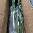 HAIHONG 2Packs 5FT Artificial Bird of Paradise Plant,Faux Palm Tree Potted Plant with Real Touch Leaves,Fake Trees for Home Living Room Office Indoor Outdoor Decor(5 FT-2Packs)
