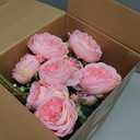 Geosar 8 Bundles Artificial Peonies Flowers Fake Silk Peony Bouquet Faux Peonies Flowers Bulk for Decoration Vase Floral Arrangements Wedding Party Table (Pink,Champagne)
