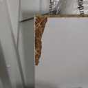 COMHOMA Makeup Vanity Desk with Mirror and Lights, Vanity Table and Chair Set with 4 Drawers and Charging Station, Bedroom Dresser Mirror& Adjustable 3 Color Modes, Storage Shelf, 32In White and Gold