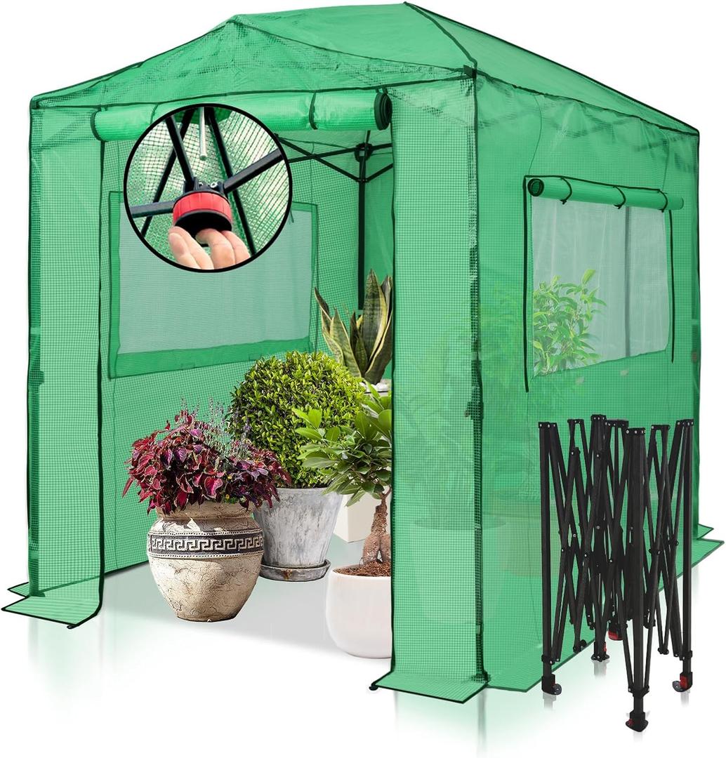 EAGLE PEAK Instant Pop-up Greenhouse, Indoor Outdoor Plant Gardening Green House, Roll-Up Zipper Doors and Side Windows, Walk in 8x6 ft, PE Cover, Green/Clear EAGLE PEAK Instant Pop-up Greenhouse, Indoor Outdoor Plant Gardening Green House, Roll-Up Zipper Doors and Side Windows, Walk in 8x6 ft, PE Cover, Green/Clear