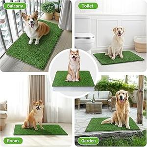 Large Sized Artificial Dog Grass Series