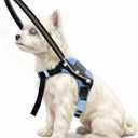 Adjustable Blind Dog Halo Harness, Protective Collar & Guiding Device, Safe and Confident Navigation Guiding Aid for Visually Impaired Pets (8.5-12.5in)