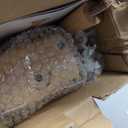 HI BABY MONMENT Crib Mobile Arm - Rotating Baby Mobile Hanger, Natural Beech Wood, Mobile Stand for Crib Nursery Decor, Perfect for Baby Girl or Boys (Height Adjustable)