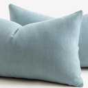 MANDIOO Pack of 2 Chenille Throw Pillow Covers Elegant Design Soft and Luxurious Decorative Cushion Covers Pillowcase Couch Sofa Bedroom Living Room Home Decor 12x20 Inch Light Blue