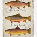 Cusde Rainbow Trout Metal Tin Sign Brook Trout Wall Art Brown Trout Vintage Retro Decoration Poster Plaques Decor Funny Novelty Garage Room Home Cafe Bar Club 8x12 Inch