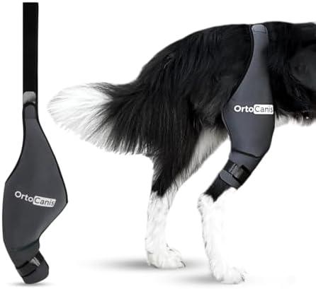 Ortocanis - Dog Knee Brace - For Right Hind Leg - Made of ARD Neoprene - For ACL Tear, Ligament Injuries, Patellar Luxation or Osteoarthritis - Size Large (12,3 - 14,2 ")