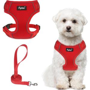 PUPTECK Small Dog Harness and Leash Set, No Pull Adjustable Puppy Cat Harness, Reflective Soft Mesh Pet Vest Small Sized, Red, S