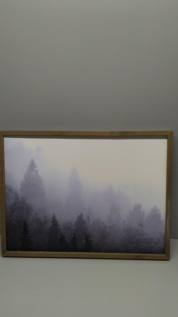SHENIFY Green Fog Pine Tree Forest Vintage Framed Wall Art Modern Landscape Scenery Farmhouse Artwork Prints Decor for Hallway Living Room Bedroom Dining Room - 16x24in Natural Framed