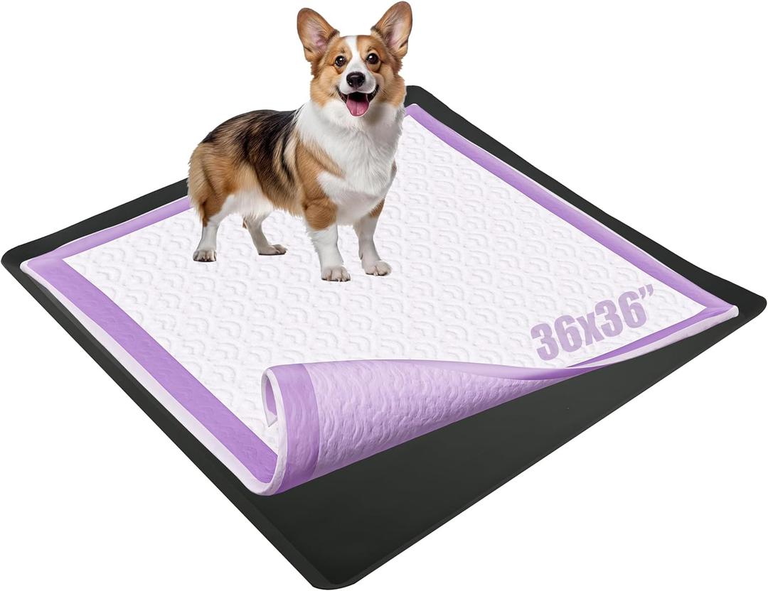 TidyFriend Dog Pad Holder Tray for 36 x 36 Inches Training Pads - Silicon Wee Wee Holder, No Spill Pee Tray for Dogs - Easy to Clean and Store Perfect for Dog Potty (Black) (1 Pack)