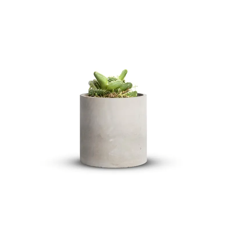Mozing Cement Plant Pots Indoor - 4.8 inch/12 CM XXXsmall Concrete Planter Pot for Planting - Modern Stone Clay Flower Pot with Drainage Hole for Garden, Home, Office Decor, Grey