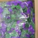 Sggvecsy 6Pcs Wisteria Garland Artificial Flowers Garland Fake Hanging Wisteria Vines Rattan Silk Hanging Flower Vines for Home Garden Outdoor Wedding Arch Party Ceremony Total 35.4Ft (Purple), 6.2FT