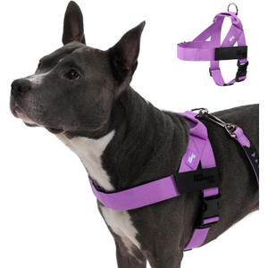 Dog Friendly Co. Dog Harness | Chafe Resistant Webbing, Adjustable Neck & Chest, and Heavy Duty D-Ring | Sturdy, Comfortable, Easy to Use | Purple, Size L