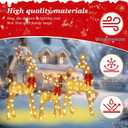 48 Inch 2.5D Gold Lighted Christmas Deer Decorations 3-Piece Outdoor Holiday Decorations Reindeer Set with 145 Warm White LEDs, Large Yard Display for Garden, Storefront