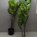 Artificial Fiddle Leaf Fig Tree 6ft, Large Faux Plant Fake Ficus lyrata Silk Trees with Pot for Indoor Outdoor House Living Room Office Home Decor