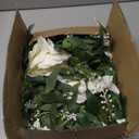 Lvydec 2 Pack Artificial Peony Flower Garland - 6ft Silk Peony Vine Willow Leaves Garland White Arch Flower Vine for Wedding Party Table Decoration (White)