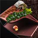 Hermit Crab Hideout with Climbing Tunnel | Hermit Crab Climbing Toys| Hermit Crab Water Tank Accessories |Hermit Crab Habitat, Also Suitable for Sea Turtles, Lizards and Tarantulas