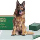 Earth Rated 3-in-1 Max Absorbency Puppy Pee Pads for Dogs, Odor Blocking, Leak Prevention Potty Training Pad, 3XL, 36 x 36 Inches, 7 Count