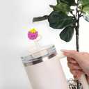 2 x 5pcs Apple Stanley Cup Straw Cover Stanley Straw Topper Cup Accessories Cup 40 Oz (Black F2)