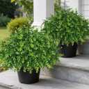 2 Set Real Touch Artificial Eucalyptus Topiary Trees for Outdoor Decor - 16" Faux Eucalyptus Potted Plant, Fake Greenery Shrubs in Black Pot for Front Door Porch Farmhouse Shower Home Decor
