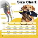 Dog Knee Brace for Torn Acl Hind Leg Red Light Therapy for Dogs Professional Edition Dog Knee Brace Accelerated Wound Healing Suitable for Mini Dogs (S)