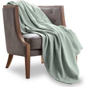 WestPoint Home Vellux Woven Cotton Blanket Color: Gray Mist, Size: Full/Queen (Full Queen, Light Grey)