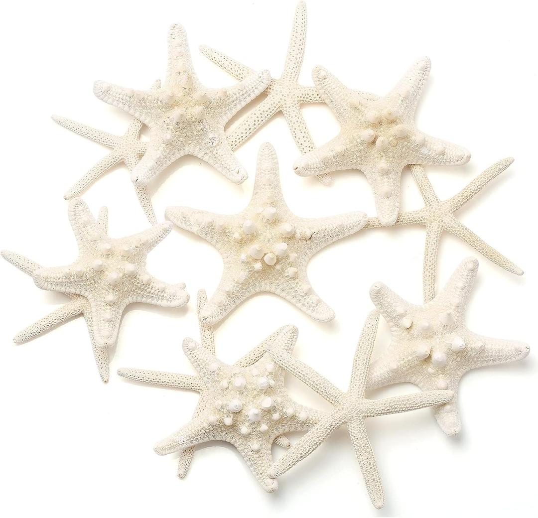 12 PCS Starfish | 2.5-6 Inch Starfish Decor | Natural Bulk Starfish Shells Perfect for Crafts Making Beach Theme Party Wedding Decoration, Home Wall Decor, Christmas Ornaments, Fish Tank