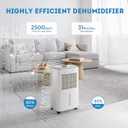 Dehumidifier for Basement, Home Dehumidifiers with Drain Hose for Large Room Bathroom, Auto Drain or Manual Drainage (31 pint)