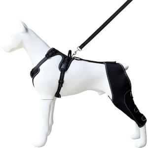 Adjustable Dog Knee Brace with Leash, Hind Leg Support for Joint Pain, ACL Injury Recovery, Anti-Lick Wrap Harness Set (Black5)