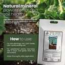Soil Seed & Water Zeolite Soil Conditioner Natural Minerals for Water Retention, Nutrient Exchange, and Drainage - Home Garden - OMRI Listed (EXP 12/01/26)