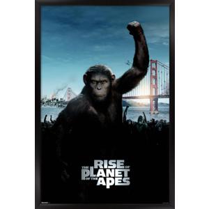 Trends International Rise of the Planet of the Apes (2011) - One Sheet Wall Poster, 34L x 22.4W, Black Framed Version