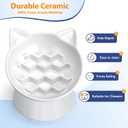 Ceramic Slow Feeder Cat Bowl, 2 Cups Tilted Elevated Cat Slow Feeder Bowl for Dry and Wet Food, Honeycomb Design for Preventing Vomiting & Bloating (White-Cute Kitten)