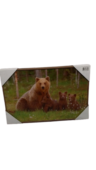 18x12 Bear Lake Printed Glass Frame