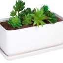 10 inch Rectangular White Ceramic Planter Pot Succulent Cactus Herb Flower Container Window Box Saucer Removable Drip Tray Base Drain Holes Home Office Indoor Outdoor Garden Desktop