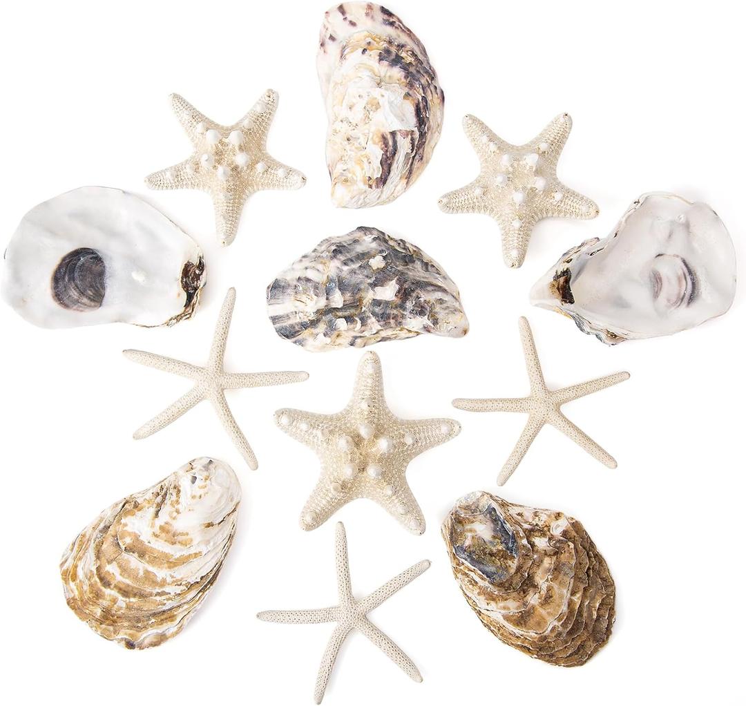JQAQJU 3"-4" Sea Shells and Starfish 12PCS, Flat & Concave Large Oyster Shells for Crafts, Natural Beach Sea Shells for Crafting, Seashells for Crafting Home Decor Beach Party Wedding Fishtank DIY