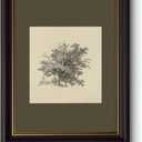 Myzoran Dark brown Frame Vintage Tree Wall Art Prints, Farmhouse Tree Sketch Landscape Pictures Painting,Rustic Neutral Vintage Siege Green Artwork,for Bathroom Bedroom Gallery Home Decor(16" x 24")