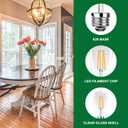 ST19 Vintage LED Edison Light Bulbs,E26 Led Bulb 25W Equivalent,Vintage LED Filament Bulbs,2.5W Warm White 2200K,250LM,Clear Glass,Non-Dimmable,3 Pack