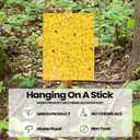 Qualirey 200 Pcs Yellow 6 x 8 Inch Sticky Traps for Gnats Dual Sided Fruit Fly Sticky Traps for Indoor and Outdoor Plant with Twist Ties and Plastic Holders for Fungus Gnats, Bug, Flying Insect