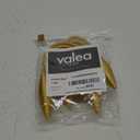 Valea Home 2-Pack Creative Curtain Tiebacks Random Modelling Curtain Holdbacks Eelicate Simple Type, Gold (Set of 2)