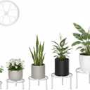 5 Pack Heavy Duty Metal Iron Plant Stand,Anti-Rust Iron Flower Pot Stand Holder for Multiple Display Plant Racks,Potted Plant Shelf for Living Room Balcony