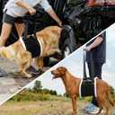 LumoLeaf Dog Lift Harness Sling for Back Legs, Adjustable Rear Leg Support & Mobility Aid, Hip Support for Senior/Disabled Dogs, Soft Fleece Lining, Padded Handles, for CCL/ACL Surgery (Black, Medium)
