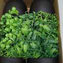 Der Rose Fake Plants 4 Packs Artificial Plants Small Faux Plants Black Bathroom Accessories for Halloween Bathroom Home Kitchen Coffee Table Office Desk Decor Indoor (Green)