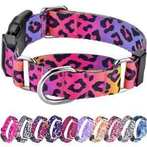 Martingale Collar for Dogs, Adjustable Soft Nylon Dog Collars with Special Design Cute Patterns for Small Medium Large Dog (Gradient leopard, Medium)