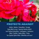 BioAdvanced 3-in-1 Insect, Disease, and Plant Mite Control - Insecticide, Fungicide & Miticide - Ready-to-Spray- Prevents Pests and Diseases - Up to 30 Days Protection - 32 fl oz Bottle