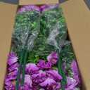 Artificial Fake Flowers for Outdoor Decor, 24 Bundles Silk Colorful Morning Glory with Eucalyptus UV Resistant Realistic Faux Flower for Planter Front Door Porch Yard Patio Balcony,Purple+Light purple